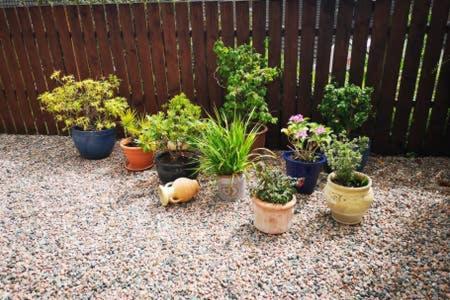 Banbridge Townhouse Apartment Bagian luar foto